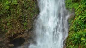 Roseau: Guided Day Trip to Popular Waterfalls
