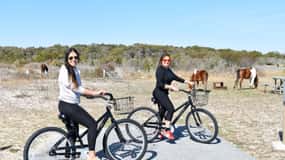 Assateague Island: Bike Rental from the Bayside Stand