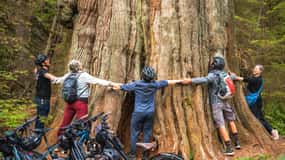Vancouver: Recorrido en Bicicleta por Stanley Park