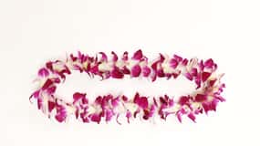 Kahului Airport: Maui Flower Lei Greeting Upon Arrival