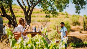 Falset: Guided Wine Tour to the Priorat by a Local