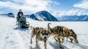 Anchorage Area: Helicopter and Glacier Dogsled Tour
