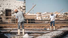 Fuerteventura : Billets pour les musées du sel, du fromage et des moulins à vent