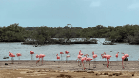 Bonaire: Rondleiding met gids door het noorden en zuiden