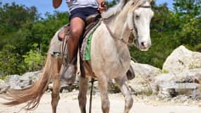 Punta Cana: Bávaro Adventure Park: passeios a cavalo e cachoeiras