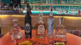 Ciudad de México: Visita al Museo del Tequila y el Mezcal con Degustación