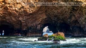 Da Paracas: tour delle Isole Ballestas tutto incluso