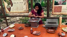 Tulum: Chocolate & Honey Sanctuary Experience with Lunch