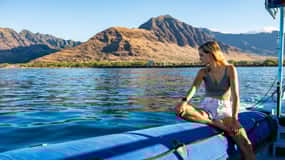 Oahu: Dolphin Swim and Snorkeling Speedboat Tour