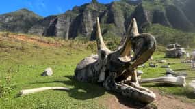 Oahu: pacchetto tour con siti cinematografici di Kualoa, giungla e buffet