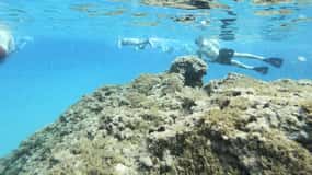 Malta: Snorklingstur
