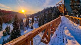 Krakow: Zakopane, Thermal Baths and Gorce Park Treetop Walk