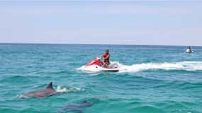 Cape Coral och Fort Myers: Wild Life Jet Ski Tour