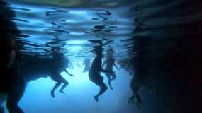 From Dubrovnik/Cavtat: Blue Cave, Sunj Beach Speed Boat Tour