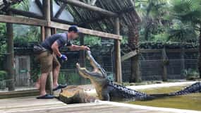 Orlando: Wild Florida Park Biljett och Gator Shows