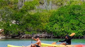 2-Hour Kayak Tour in Curacao