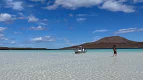 Loreto: Bootstour und Schnorcheln im Nationalpark Bahia de Loreto