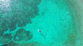 Muscat Daymaniat islands Tour