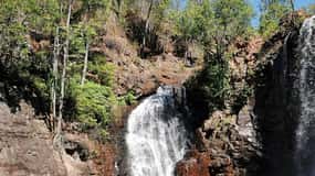 Litchfield & Berry Springs, Premium tour, 10 guests & lunch
