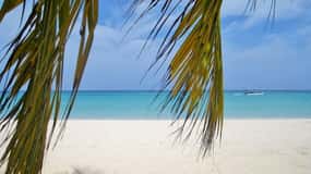 From Montego Bay: Negril Beach and Rick's Café Day Trip