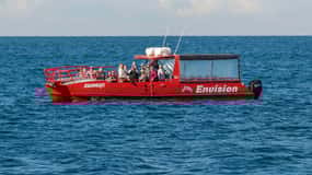Baia di Nelson: Crociera express di 1,5 ore con guida per l'osservazione delle balene