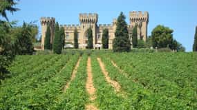 From Aix-en-Provence: Châteauneuf du Pape Wineries Day Trip