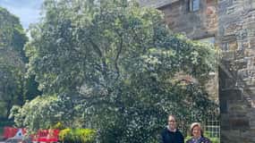 Windsor: Private Town-Walking Tour