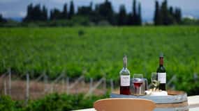 From Kos: Tour of 2 Wineries with Wine Tasting & Small Bites