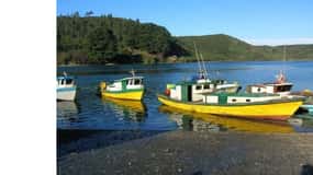 Puerto Varas: Tour privato della città di Puerto Montt e Puerto Varas