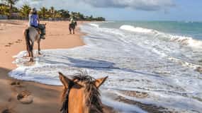 Palomino: passeio a cavalo na praia de Palomino