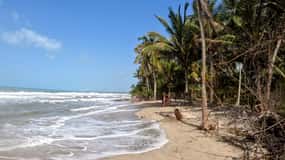 Passeio de quadriciclo Palomino