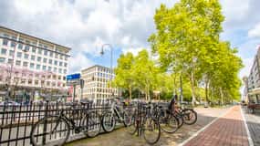 Cologne: Capture the most Photogenic Spots with a Local