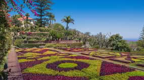 Guided Tuk-Tuk Tour to Botanical Garden (From Funchal)