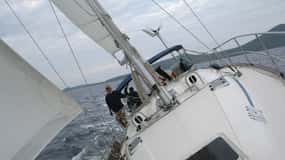 Vrsar: Dolphin Watching and Sightseeing Private Day Cruise