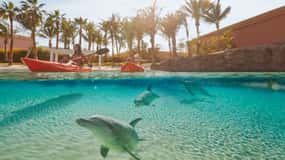 Dubai: Atlantis dolfijn kajaktocht & Aquaventure Waterpark