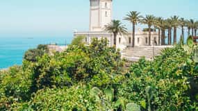 From Costa del Sol: Discover Tangier on a Guided Day Trip