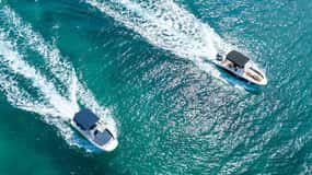 Rovinj: Rovinj Archipelago og South Coves Speedboat Tour