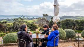Ilha Waiheke: vinhedo premium, degustação de vinhos e caminhada pela mata