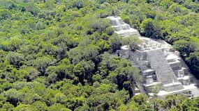Von Campeche aus: Geführter Tagesausflug nach Calakmul - Natur und Geschichte