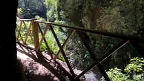 La Palma: North Island Bus Tour with Ron Aldea Distillery