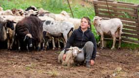 Arzana: Day with a shepherd w/ lunch in a farm