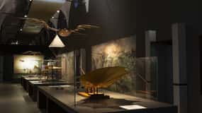 Milão: Ingresso para as Galerias Leonardo da Vinci e tour guiado