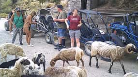 Buggy safari Crete (Transfer and lunch) analipsi- hersonisos