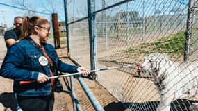 Alpine: Lions Tigers & Bears Sanctuary Visit and Feeding