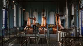 Excursión a la Calzada de los Gigantes de Belfast y a la Destilería de Whisky Titanic