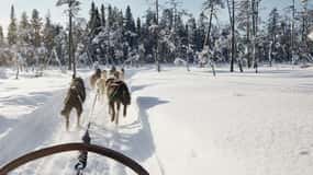 Rovaniemi: Huskyridning i Santa Claus Village