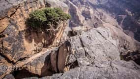 Jebel Shams ( Day Trip ) "The Grand Canyon Of Oman"- 8 Hours