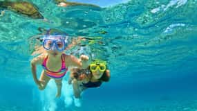 Destin: Snorkeling Cruise with 2 Stops and Dolphin Watching