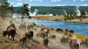 Salt Lake City: Yellowstone 3-Day Guided Trip with Hotels