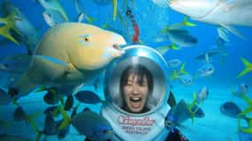 From Cairns: Green Island Boat Tour & Seawalker Helmet Dive